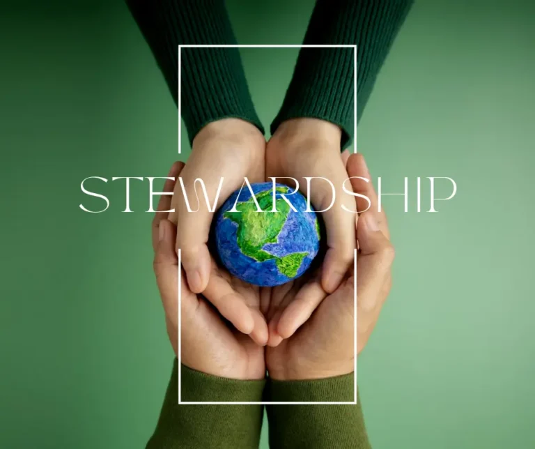 stewardship 768x644